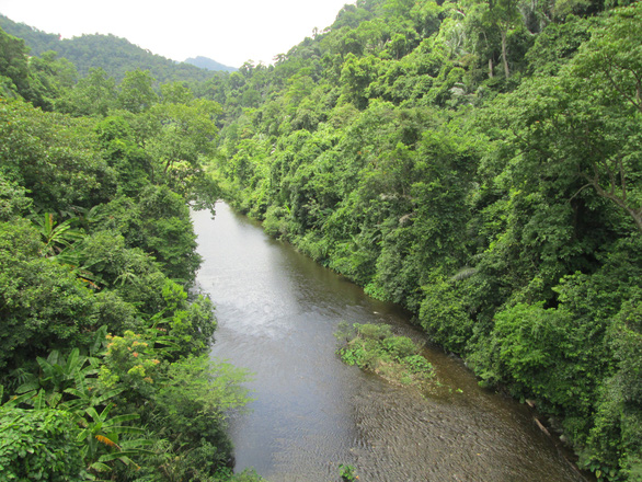 Vietnam establishes nature reserve in Quang Binh