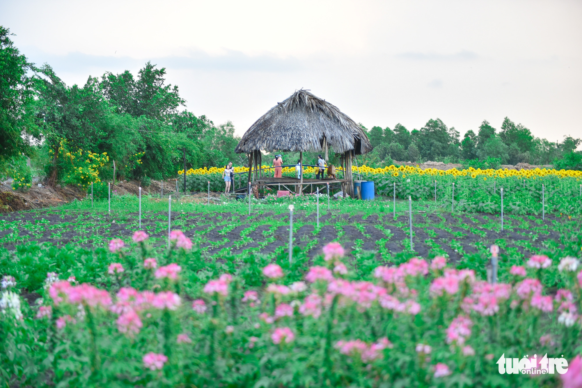 Visit two-century-old villages making bamboo fish traps in