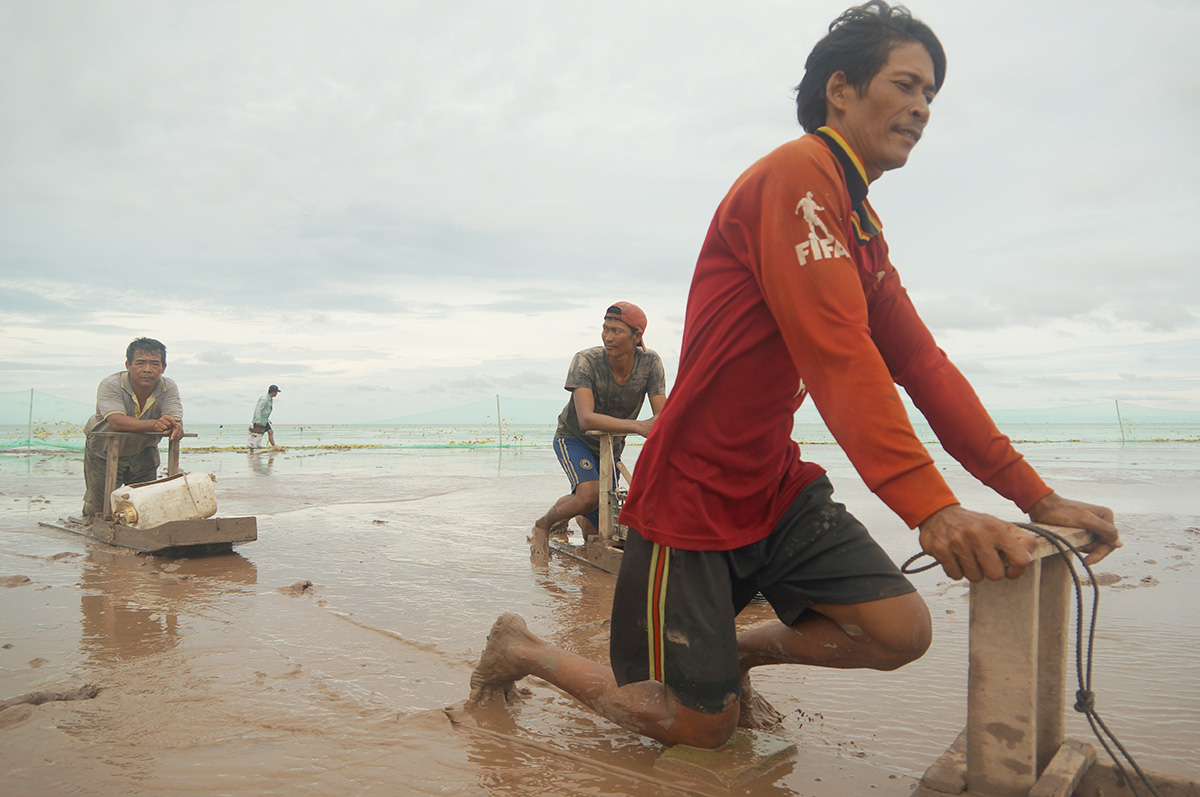 Vietnamese fishermen mud-skate for a tight living