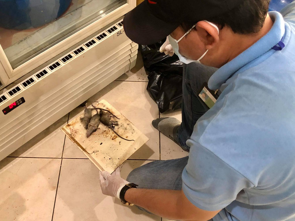 In Ho Chi Minh City, professional rat hunters rid businesses of pesky rodents