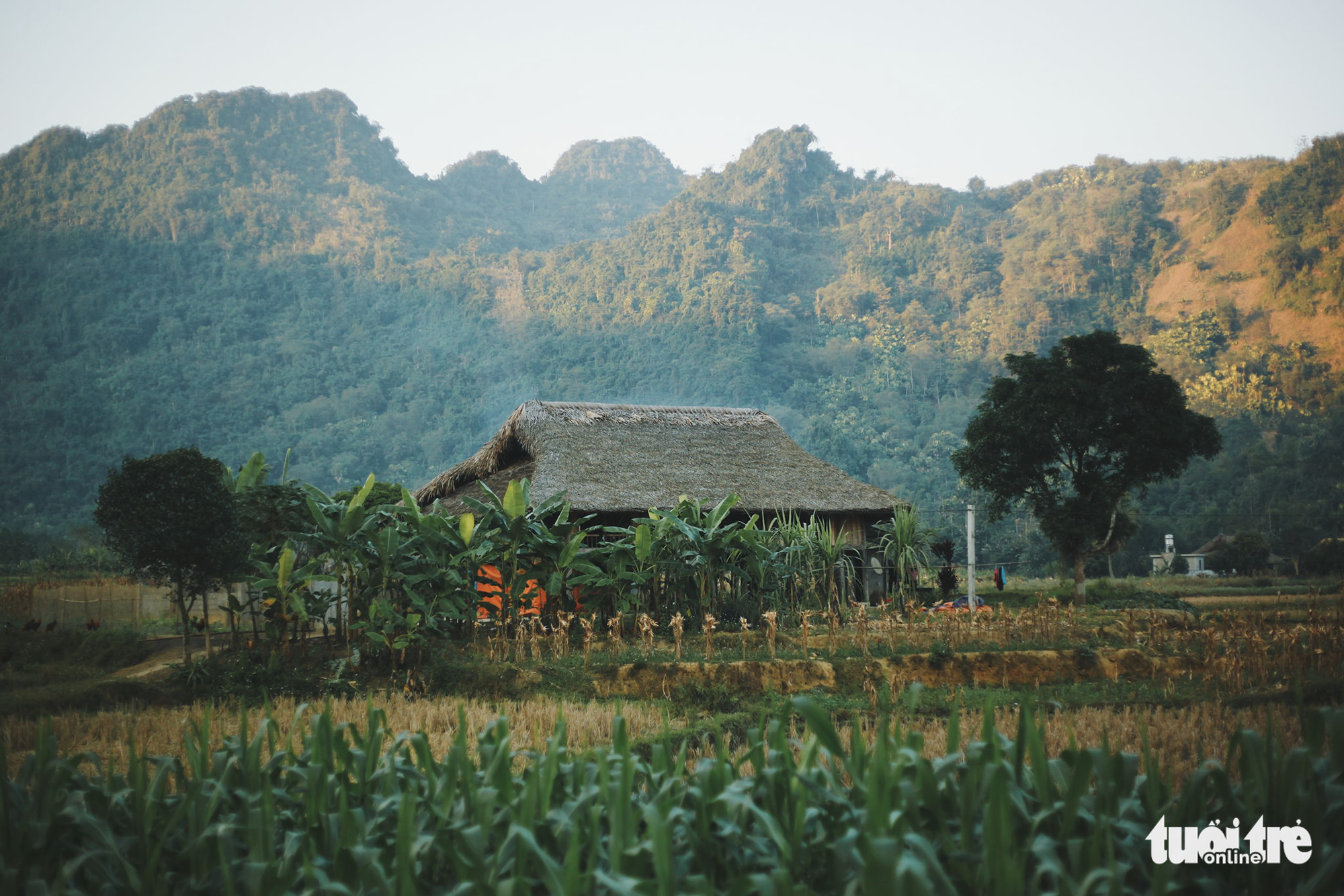 Experience a day as a Tay ethnic minority member in Vietnam