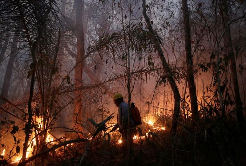 Paraguay declares state of emergency as forest fires rage Tuoi