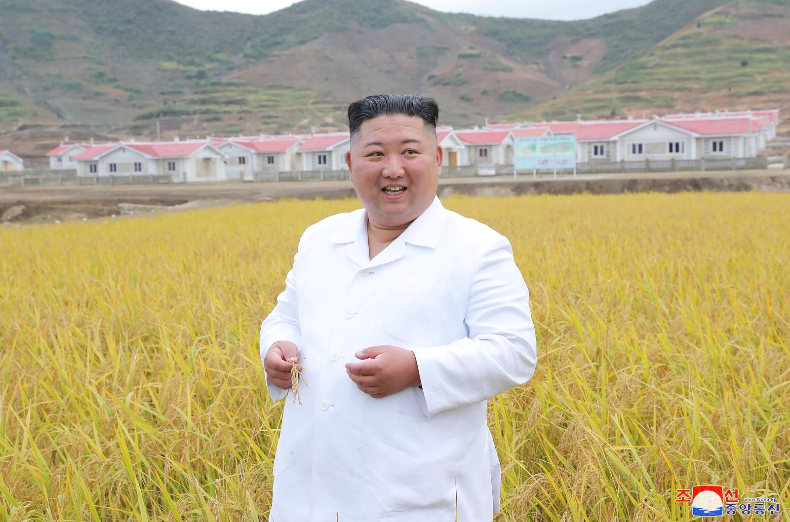 North Korea's Kim says he 'sincerely hopes' Trump recovers soon - KCNA