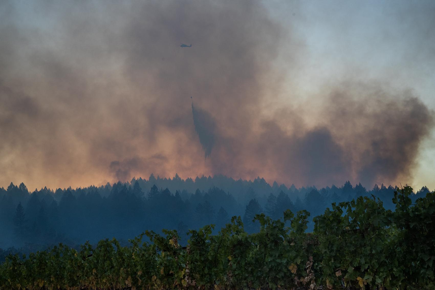 Record California wildfires burn over four million acres
