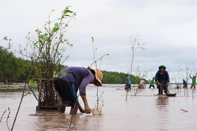 WB commits $51.5mn for Vietnam to reduce CO2 emissions from deforestation, forest degradation