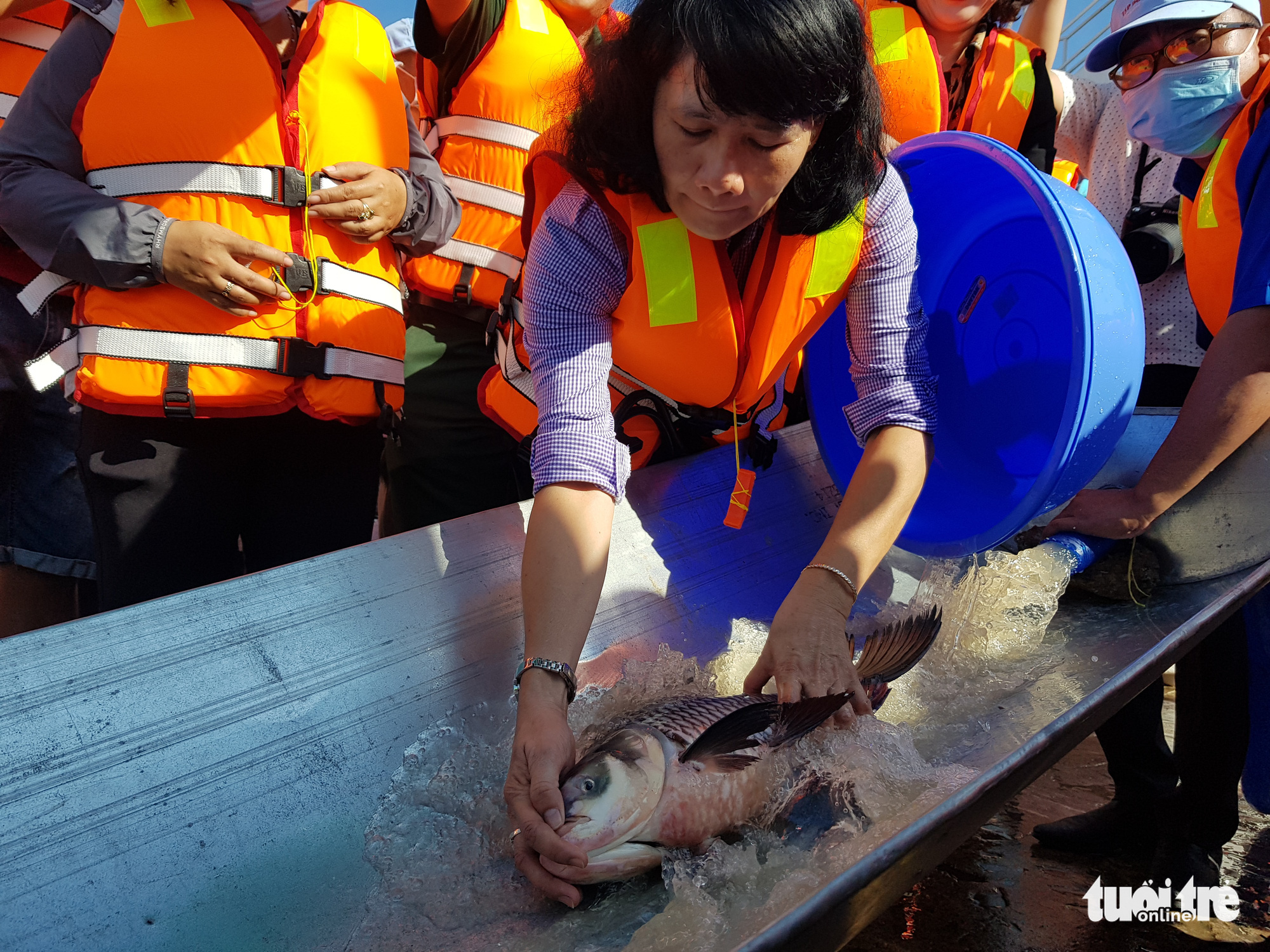 Vietnam province releases 18 tonnes of fish for aquatic resource regeneration