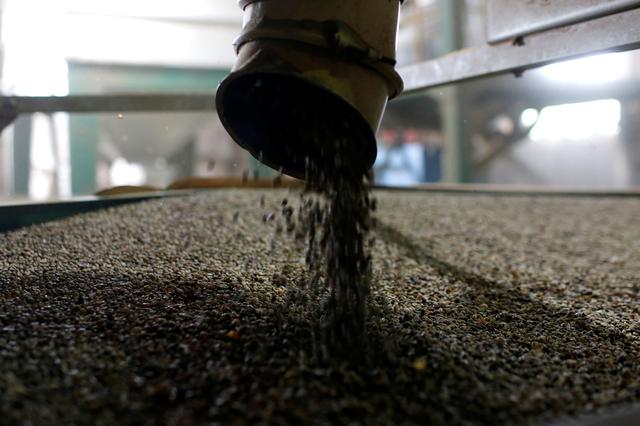 Vietnam Oct coffee exports down 8.4% m/m; rice down 5.8%: customs