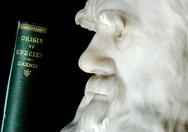 Charles Darwin notebooks 'stolen' from Cambridge University
