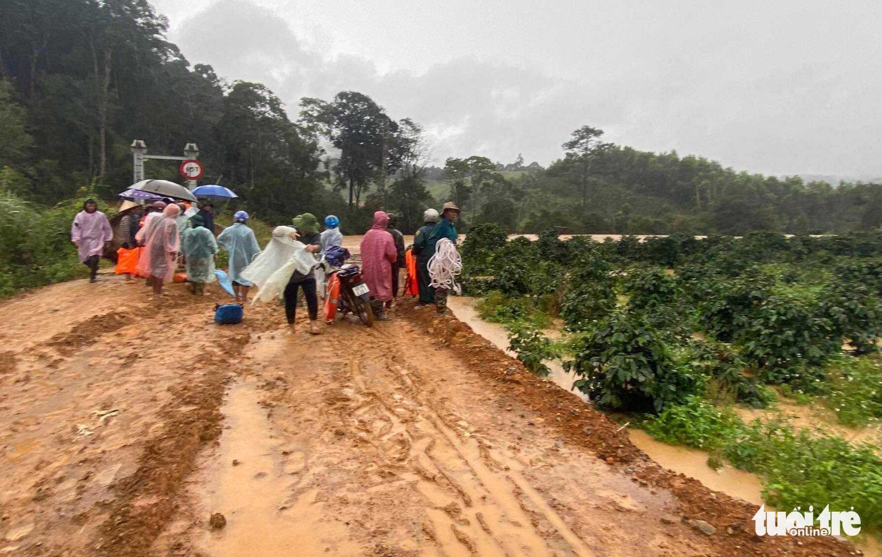 Tourists swept away by flood during trekking tour at Vietnam national park