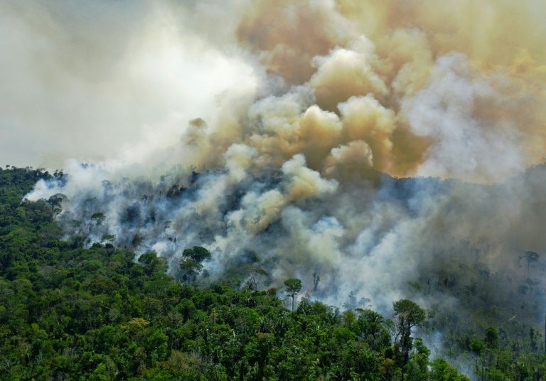Deforestation in Brazilian Amazon surges to 12-year high