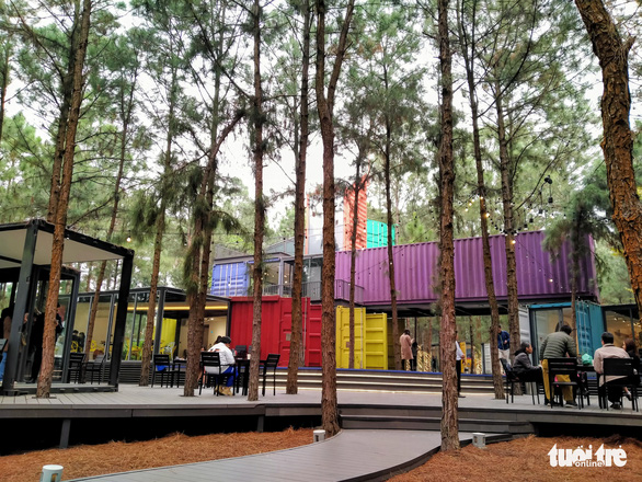 New contemporary art space brings sculptures, paintings to pine forest in northern Vietnam