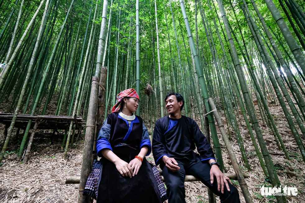 Fairylike bamboo forest offers new livelihoods to mountainous residents in Vietnam