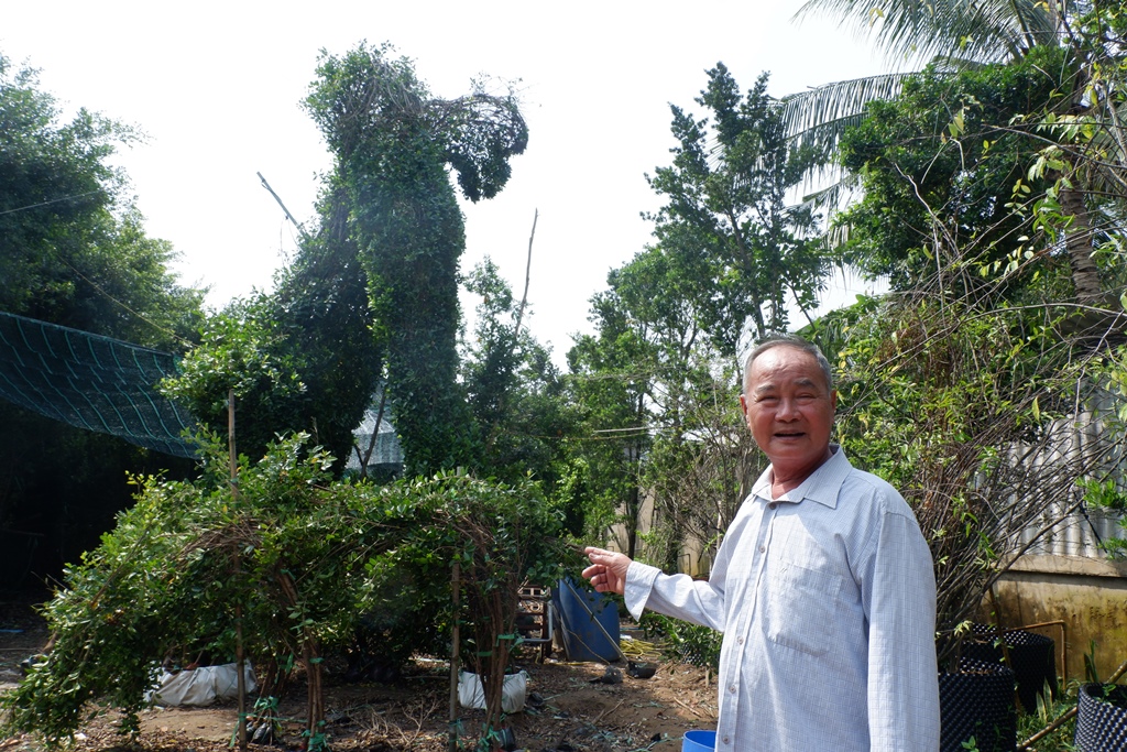 Meet the Mekong Delta’s king of plant sculpting