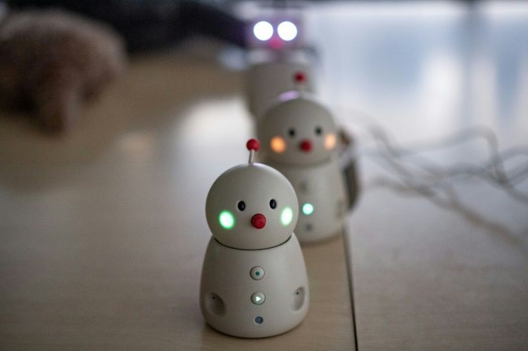 Hi, Robot: Japan's android pets ease virus isolation