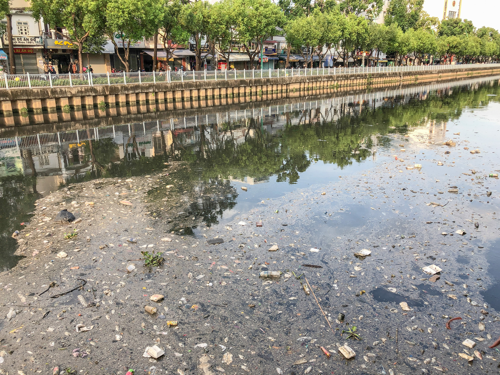 Fish die en masse in Ho Chi Minh City canal following unseasonal rain