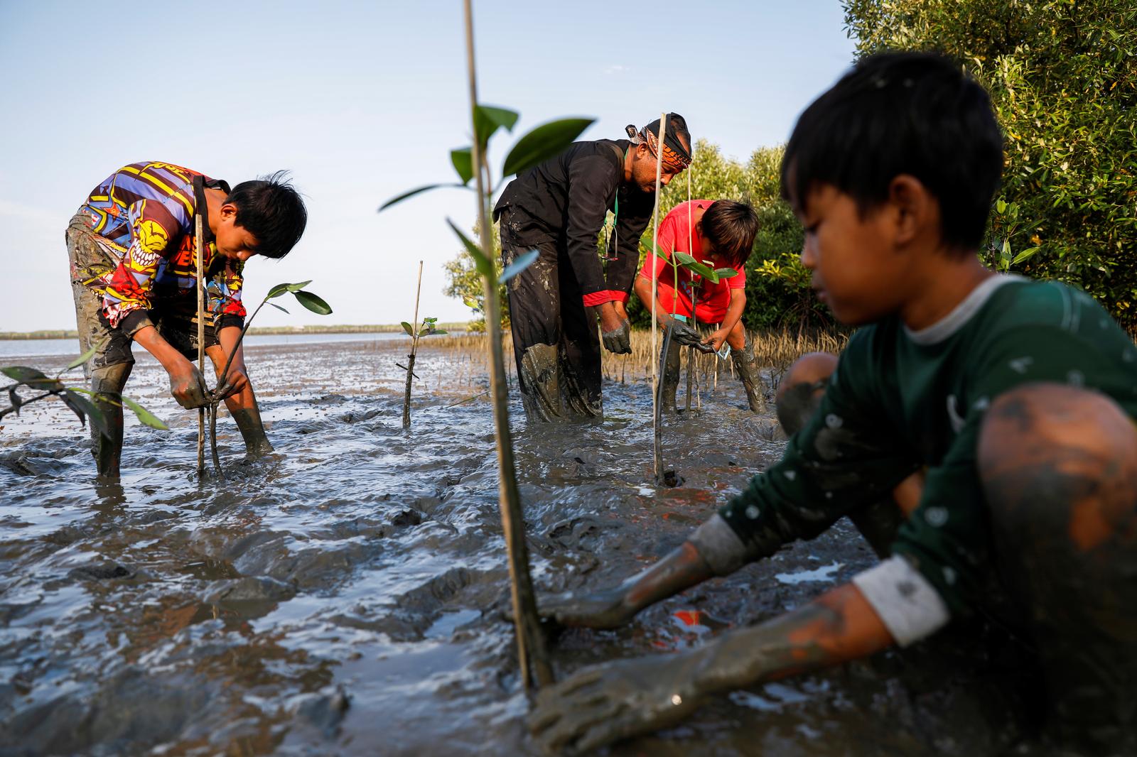 With stories and puppets, environmentalist battles to save Indonesia's mangroves