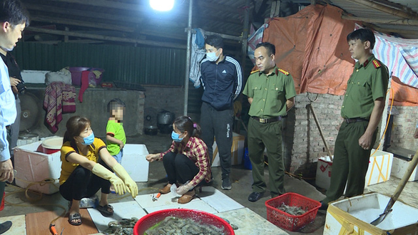 Food factory in Hanoi caught injecting prawns with filler before shipping