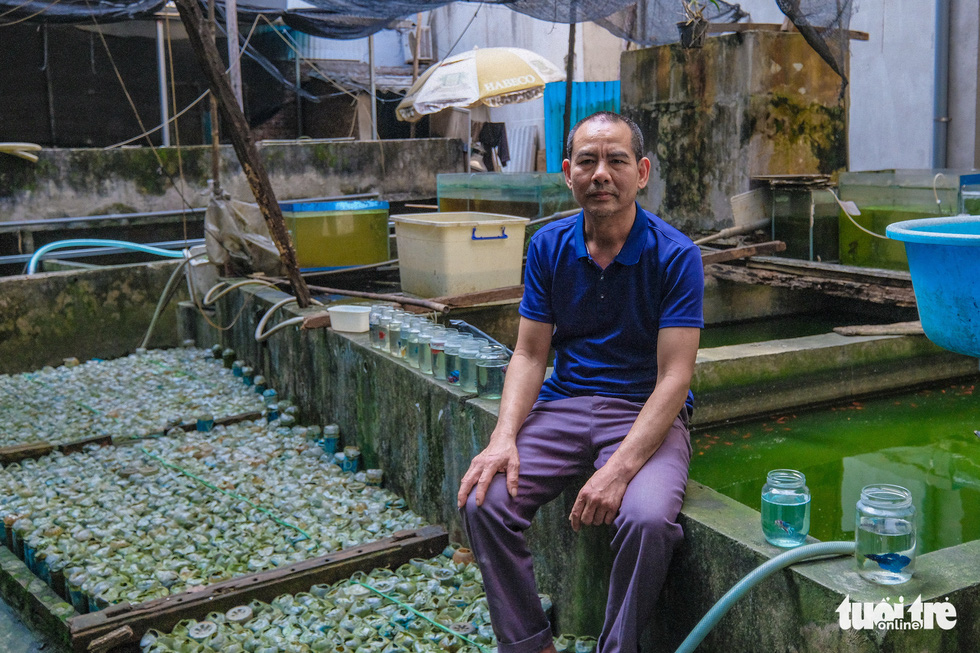 Hanoi man farms betta fish in discarded bottles