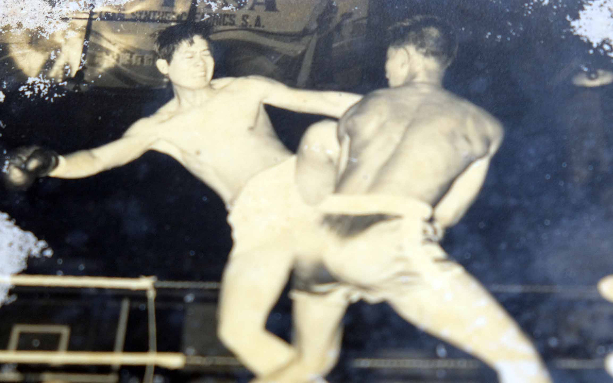 Fighting rings once popular public events in Vietnam’s Mekong Delta