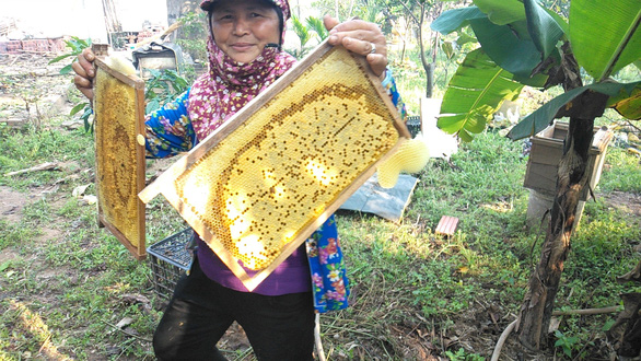 US plans to launch anti-dumping probe into Vietnamese honey