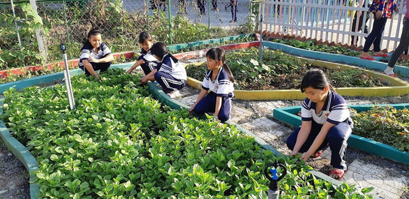 Ho Chi Minh City students learn by growing school gardens