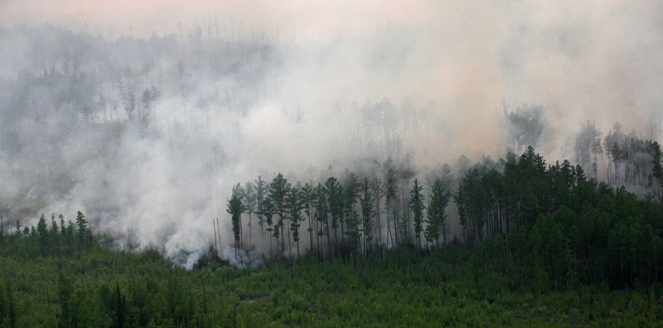 Arctic fires, thawing permafrost pose growing threat to climate: study