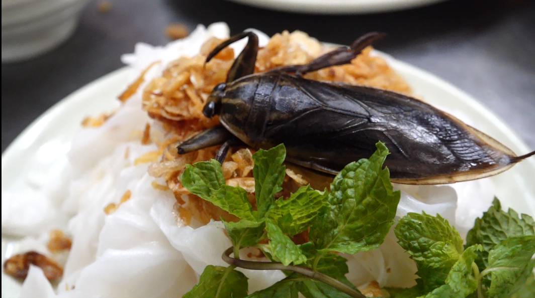 Bugs a delicacy in Hanoi’s famous breakfast choice
