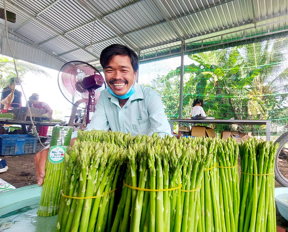 Growing asparagus in Vietnam’s rice bowl