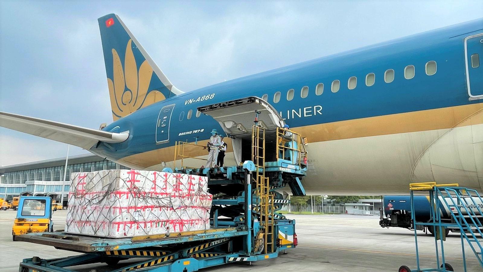 Vietnamese airlines shift to cargo transport amid COVID-19 pandemic