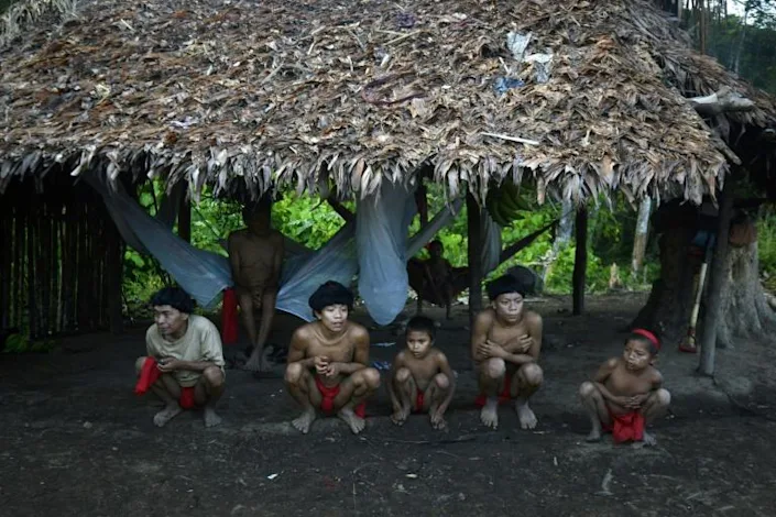 Brazil to deploy police to protect Yanomami from miners