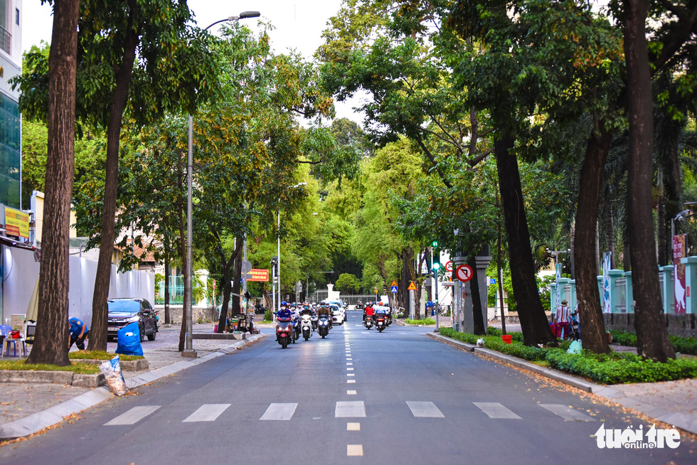 Ho Chi Minh City Goes Global: A city of clean energy and green in the 21st century