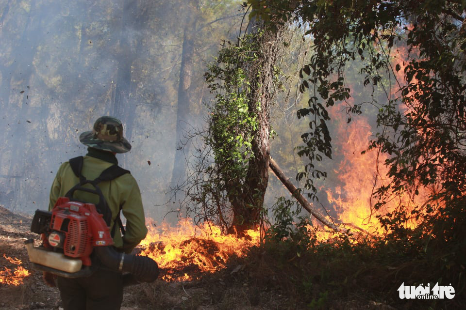 Central Vietnamese province tackles large forest fires