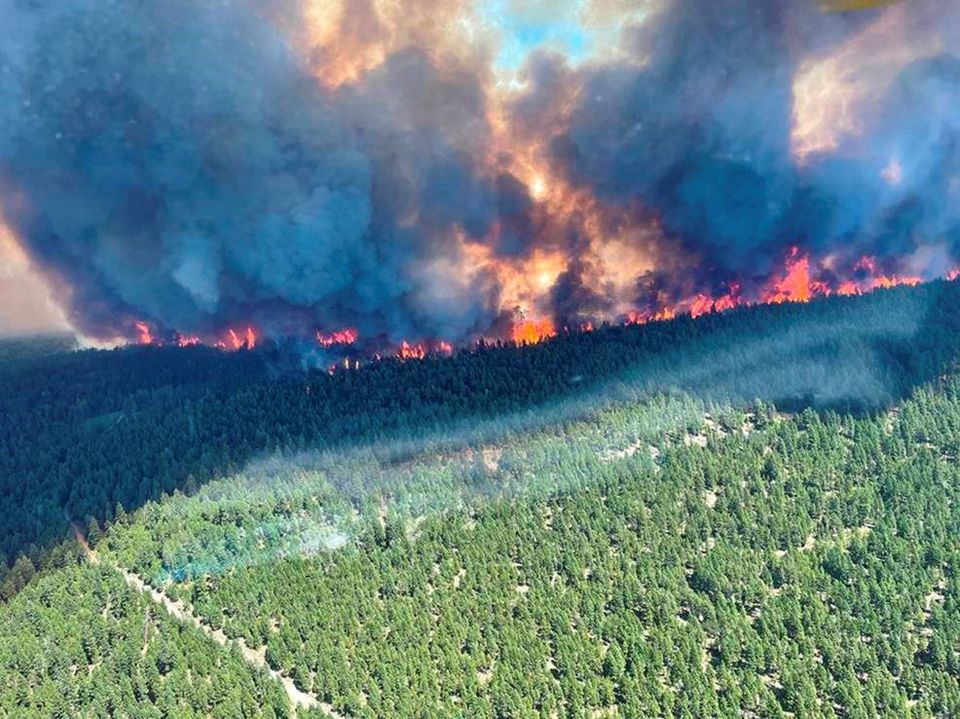 Deaths surge in U.S. and Canada from worst heatwave on record