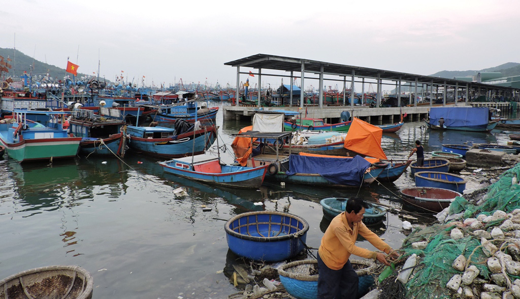 Vietnamese woman visits seafood market every day for a week before COVID-19 diagnosis