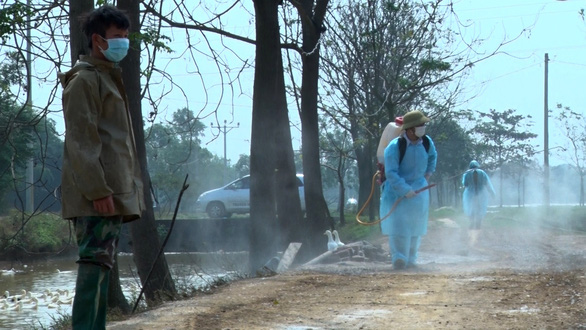 H5N8 avian flu virus detected for first time in Vietnam