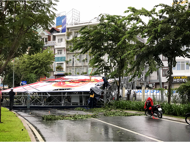 Downpour, powerful gusts knock down trees, billboard in Ho Chi Minh City
