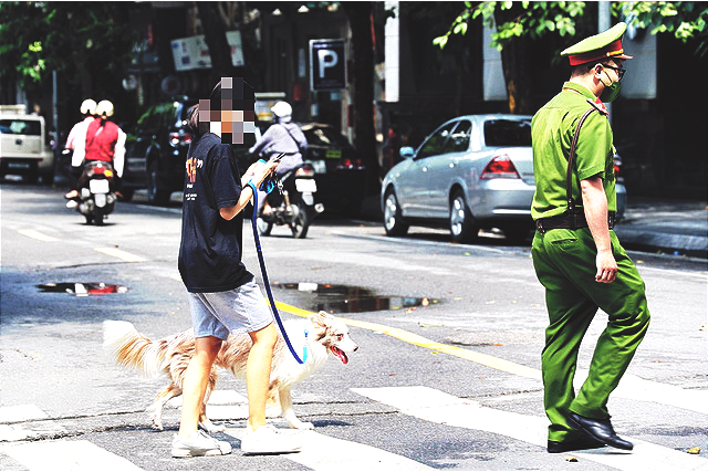Hanoi woman fined for walking dog during extensive social distancing drive