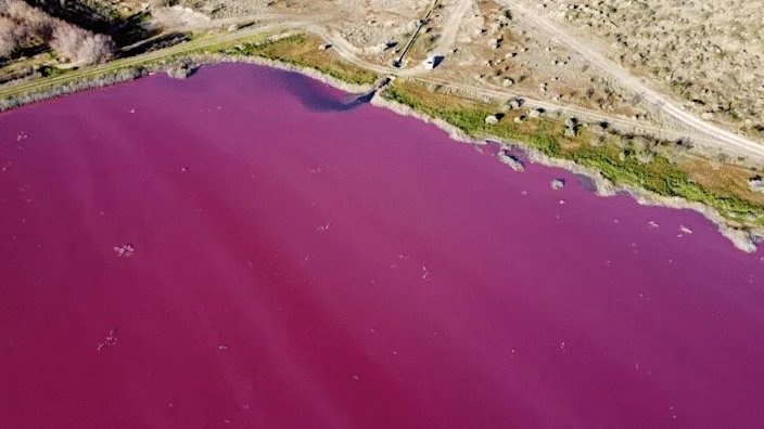 Pollution turns Argentina lake bright pink