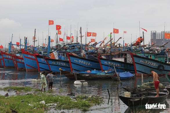Largest fishing port in central Vietnam shuttered due to COVID-19 cases