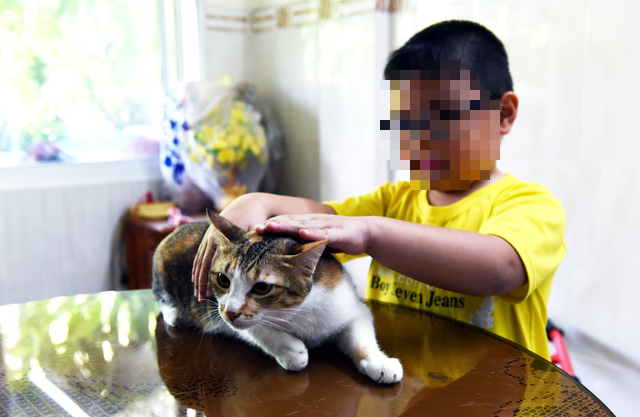 How does Ho Chi Minh City deal with pets of COVID-19 patients?
