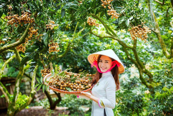 Japan urged to open door for longan imports from Vietnam