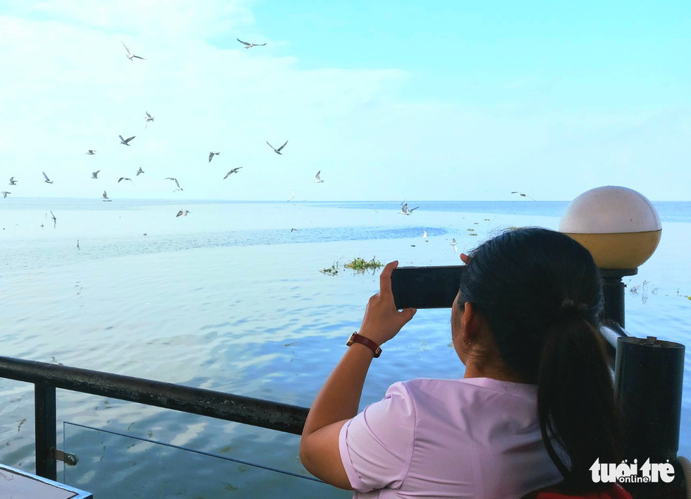 Photos: Seagull season in Vietnam’s Mekong Delta