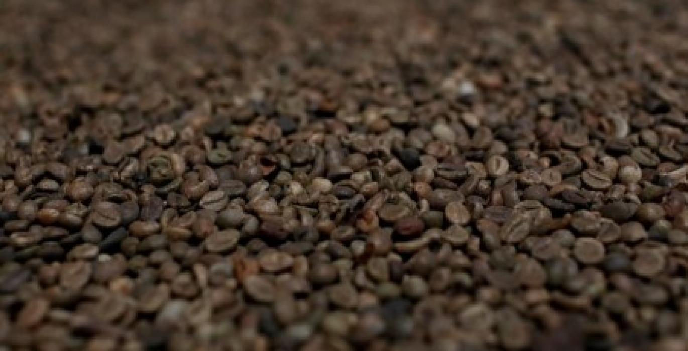Asia Coffee-Vietnam domestic prices edge higher on global price recovery