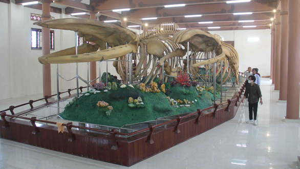 Vietnamese whale worshippers rejoice as 300-year-old skeleton restored