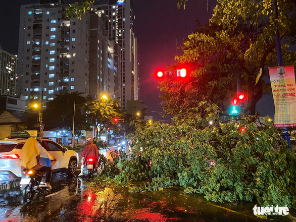 Tree branches fall, billboards fly during squally night in Ho Chi Minh City