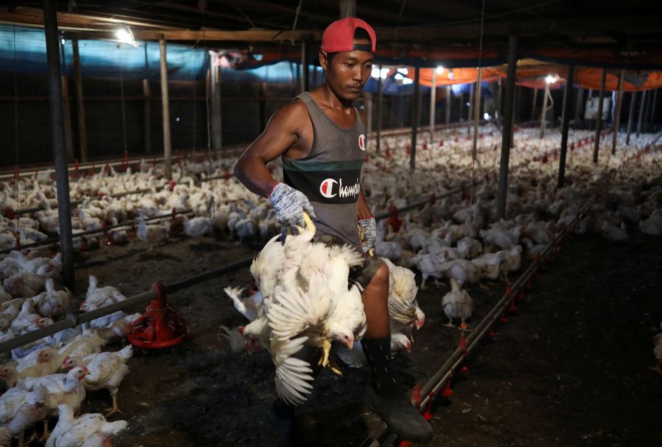 Singapore's de-facto national dish in the crossfire as Malaysia bans chicken exports