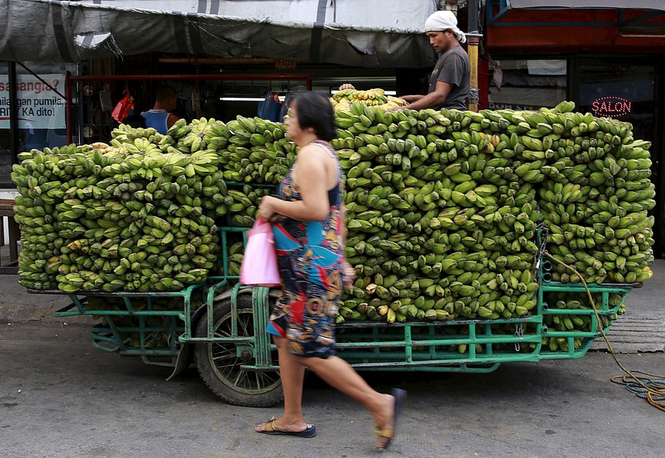Philippine banana growers plead for Japanese consumers to bear price hikes