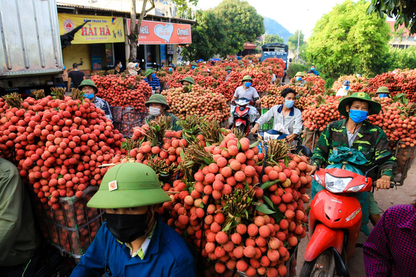 Vietnam’s 6-month agro-forestry-fishery exports up 13.9% year on year, US largest importer