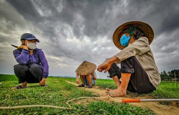 Lightning never strikes twice? This rice field in Vietnam has been repeatedly struck for a decade