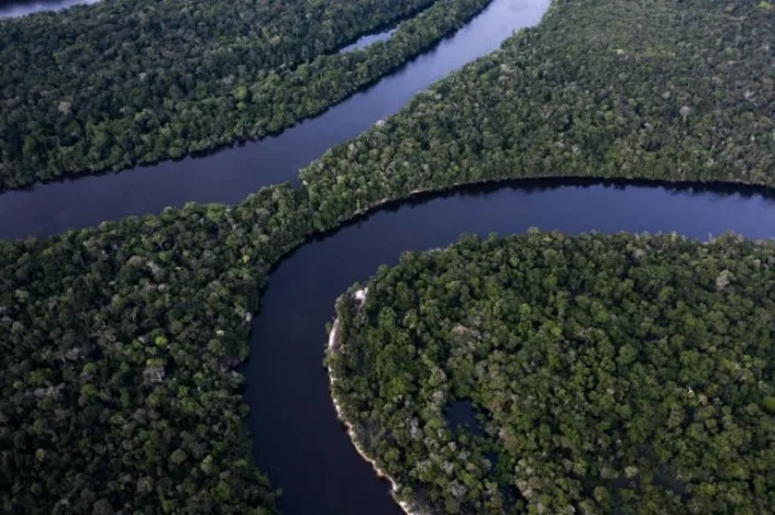 Race to find Brazil Amazon species before they disappear